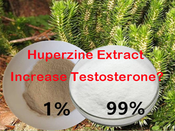 Does Huperzine Extract Increase Testosterone?